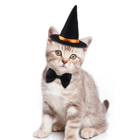 Halloween Pet Suit Wizard Hat Bow Tie - 0 - Scribble Snacks