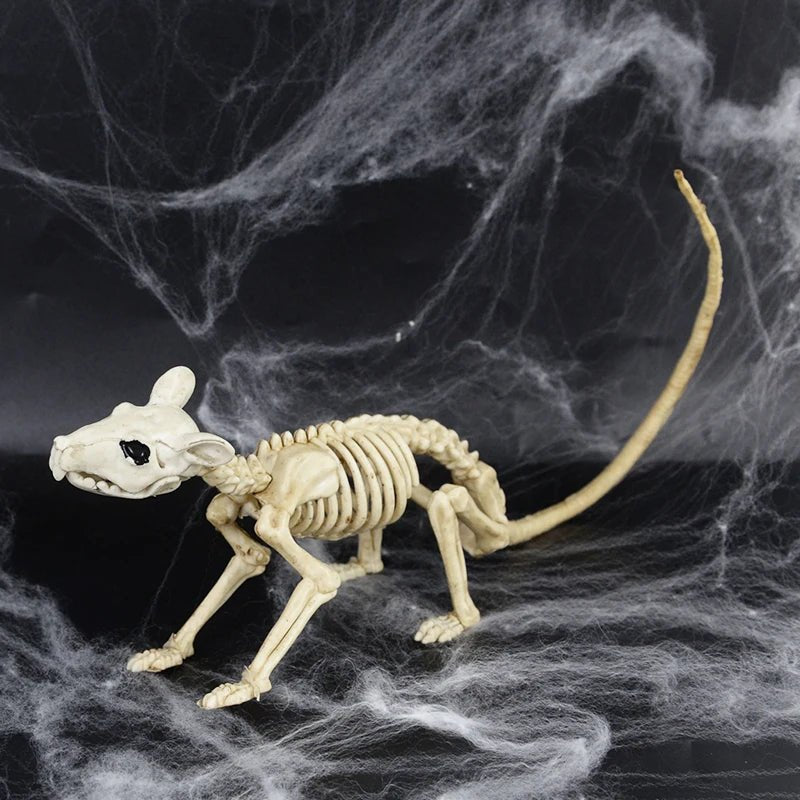 Haunted Skeleton Snack Display - Halloween - Skeletons & Bones Props - Scribble Snacks