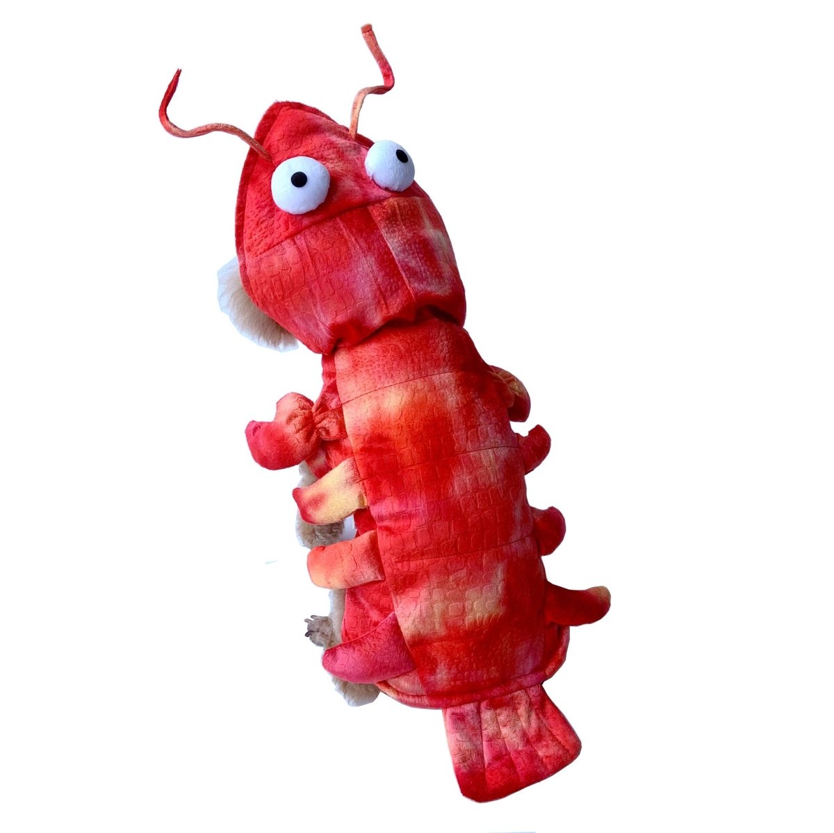 Lobster Pet Clothes Halloween Cat And Dog Makeover Costume - 0 - Scribble Snacks