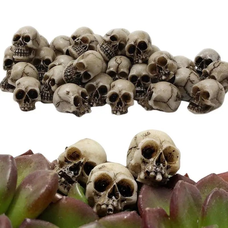 Mini Skull Halloween Set Decor - Halloween - Skeletons & Bones Props - Scribble Snacks