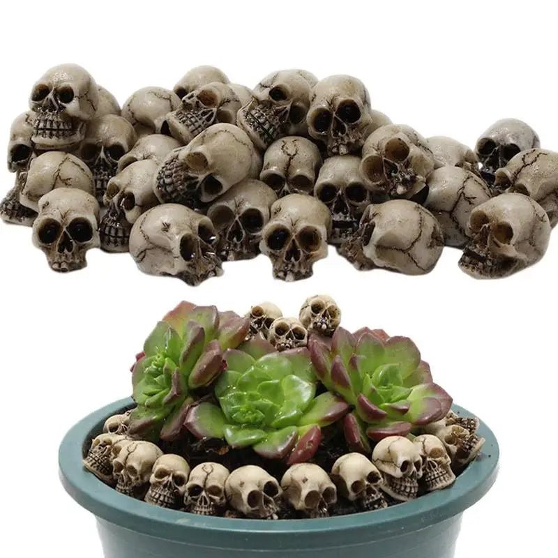 Mini Skull Halloween Set Decor - Halloween - Skeletons & Bones Props - Scribble Snacks