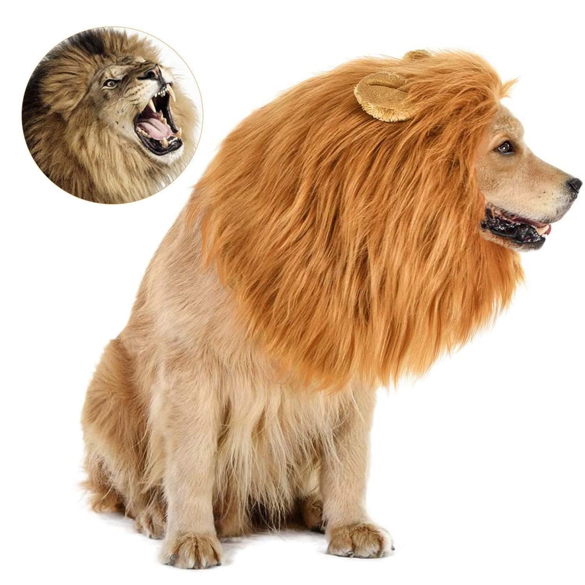 New Halloween Pet Wig Funny Lion Head Suit - 0 - Scribble Snacks