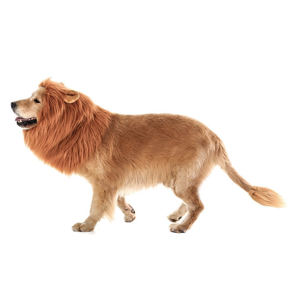 New Halloween Pet Wig Funny Lion Head Suit - 0 - Scribble Snacks