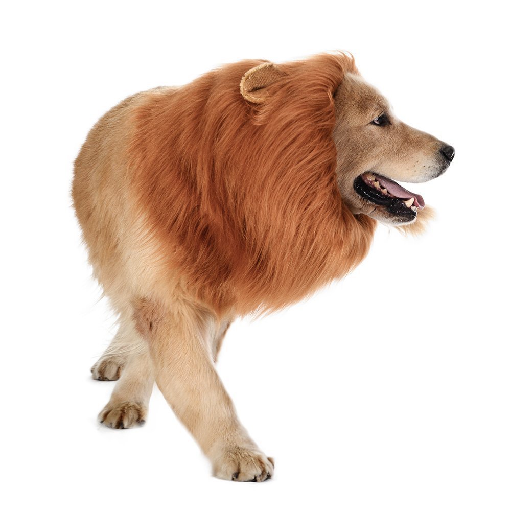 New Halloween Pet Wig Funny Lion Head Suit - 0 - Scribble Snacks