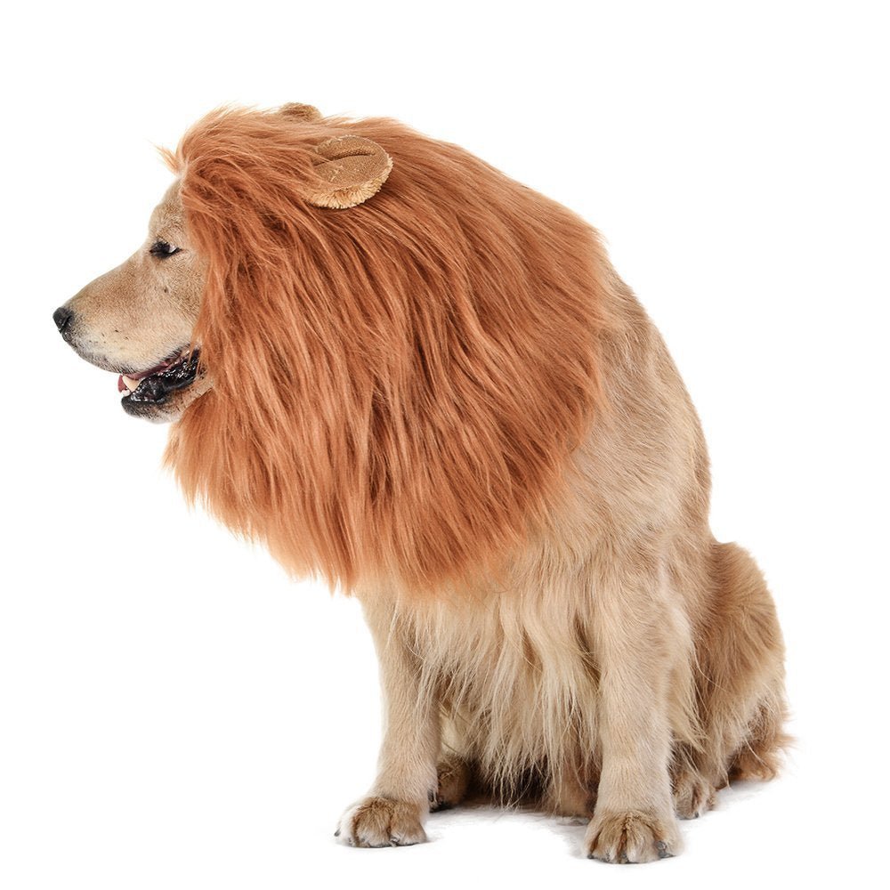 New Halloween Pet Wig Funny Lion Head Suit - 0 - Scribble Snacks