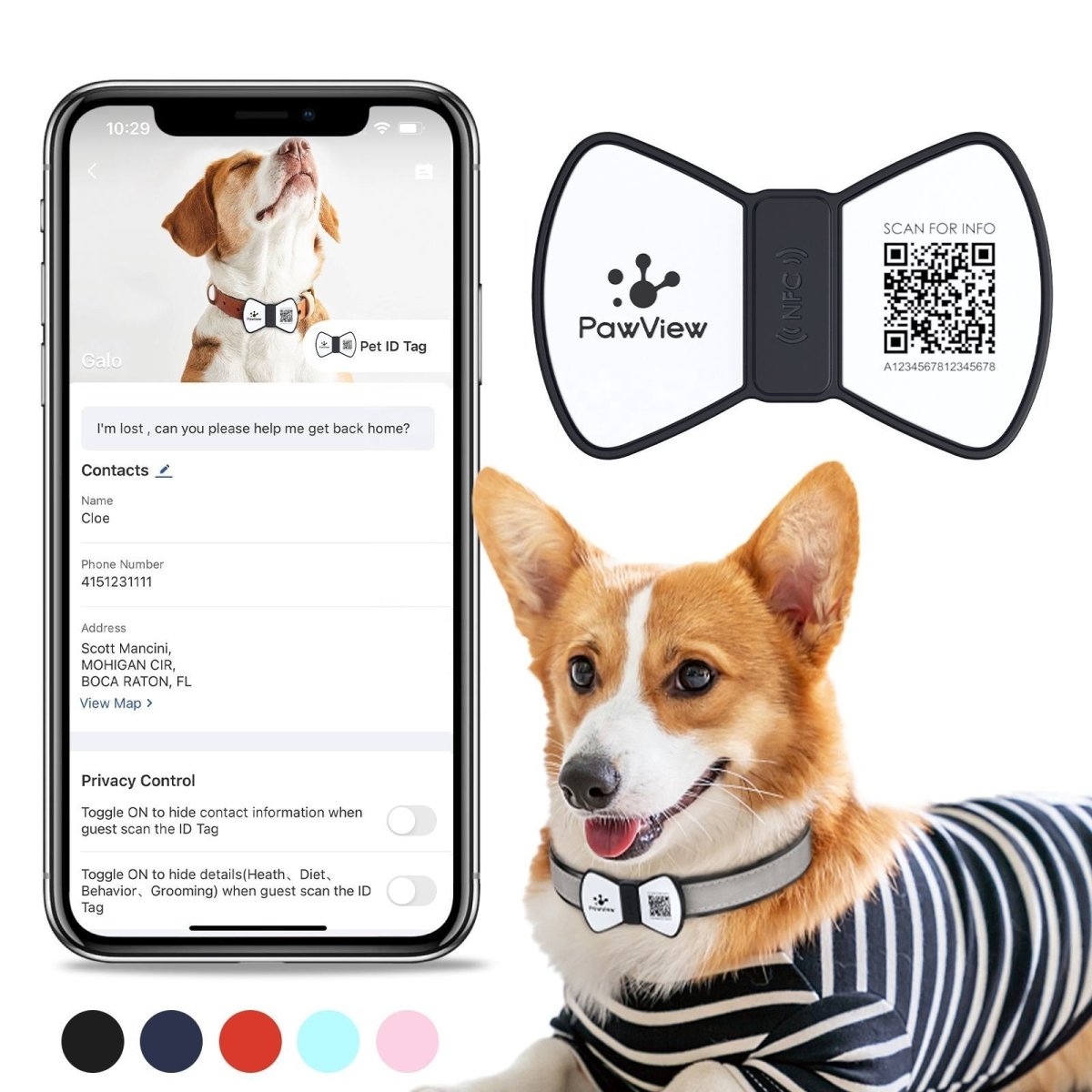 NFC Smart QR Code Pet Label Personalization - 0 - Scribble Snacks