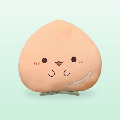 Peach plush pillow in soft pink with a smiling face, on a mint background