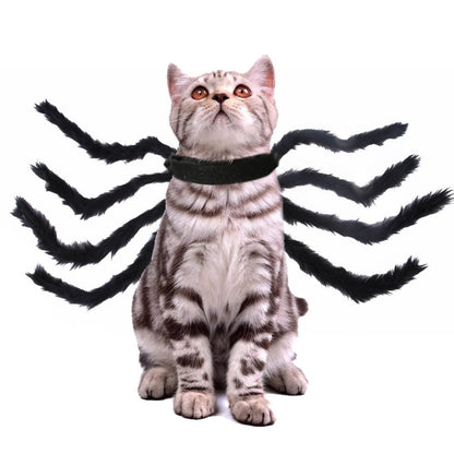 Pet Cat Dog Halloween Creative Spider Costume - 0 - Scribble Snacks