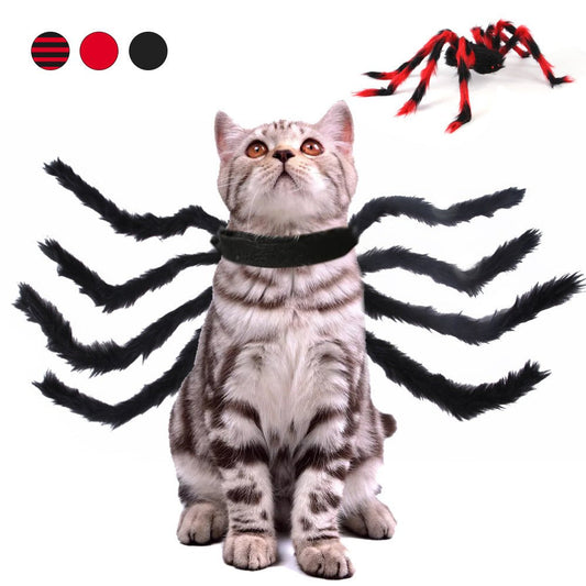 Pet Cat Dog Halloween Creative Spider Costume - 0 - Scribble Snacks