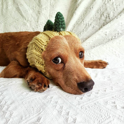 Pet Dog Dinosaur Warm Windproof Halloween Knitted Hat Head Cover - 0 - Scribble Snacks