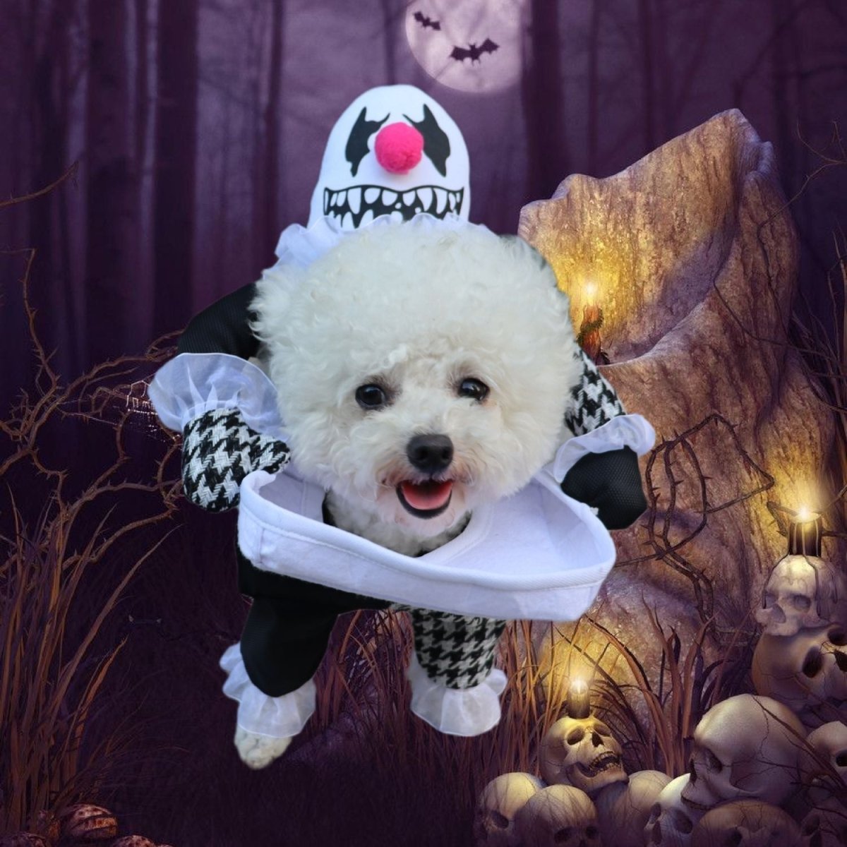 Pet Halloween Costume Photo Props Demon Transformation - 0 - Scribble Snacks