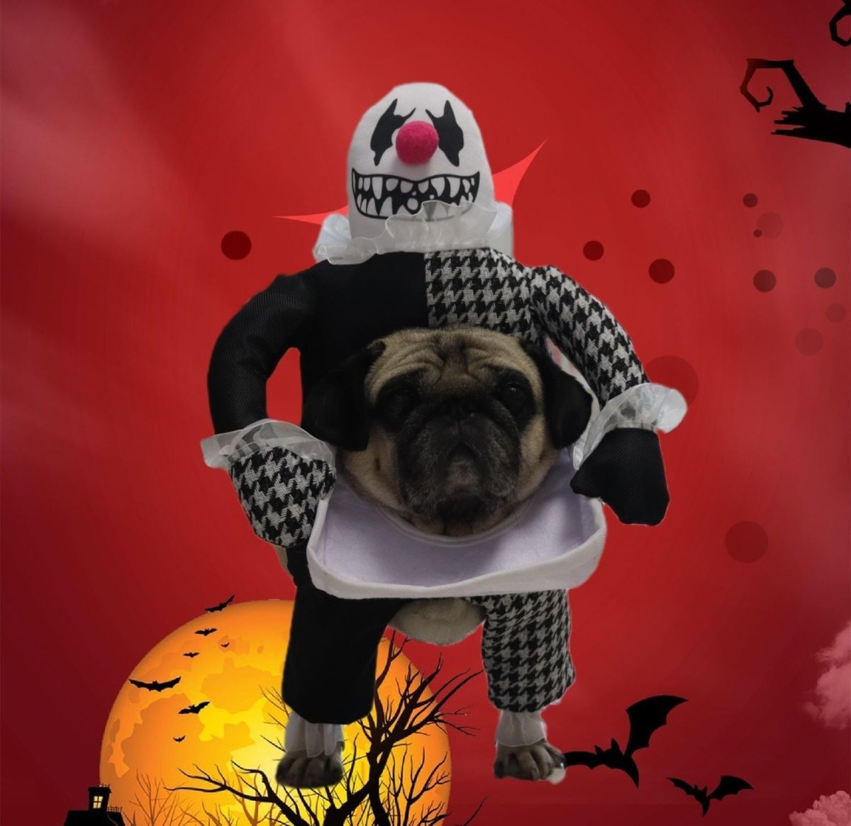 Pet Halloween Costume Photo Props Demon Transformation - 0 - Scribble Snacks