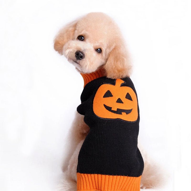 Pet Halloween Dog Knitted Pumpkin Sweater - 0 - Scribble Snacks