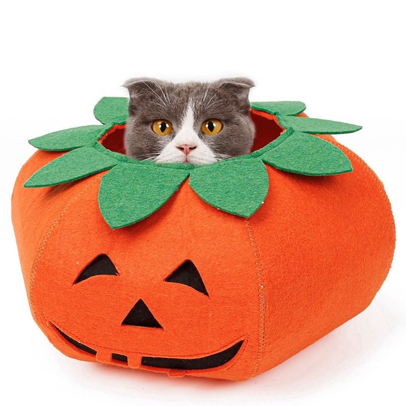 Pet Halloween Pumpkin Collars Cute Pet Cosplay Accessories - 0 - Scribble Snacks