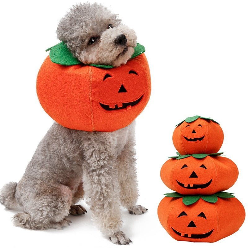 Pet Halloween Pumpkin Collars Cute Pet Cosplay Accessories - 0 - Scribble Snacks