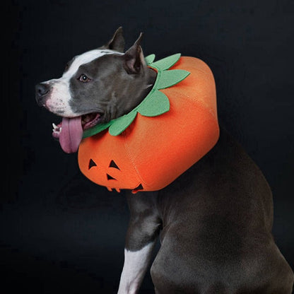 Pet Halloween Pumpkin Collars Cute Pet Cosplay Accessories - 0 - Scribble Snacks