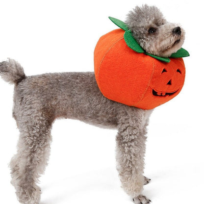 Pet Halloween Pumpkin Collars Cute Pet Cosplay Accessories - 0 - Scribble Snacks