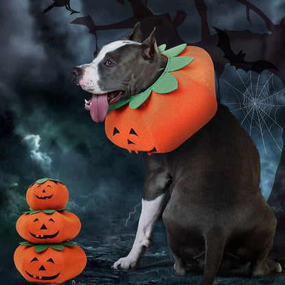 Pet Halloween Pumpkin Collars Cute Pet Cosplay Accessories - 0 - Scribble Snacks