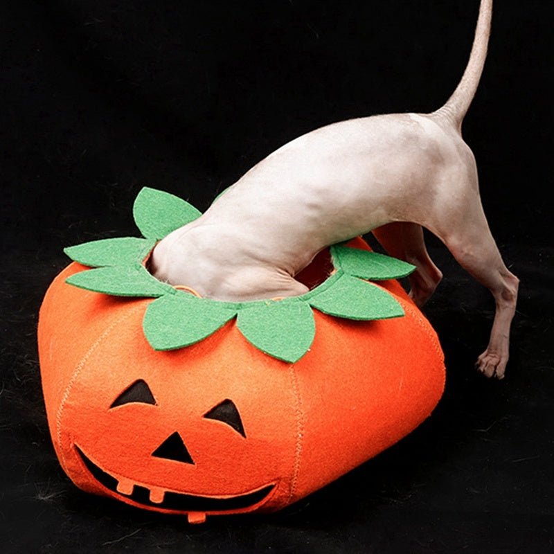 Pet Halloween Pumpkin Collars Cute Pet Cosplay Accessories - 0 - Scribble Snacks