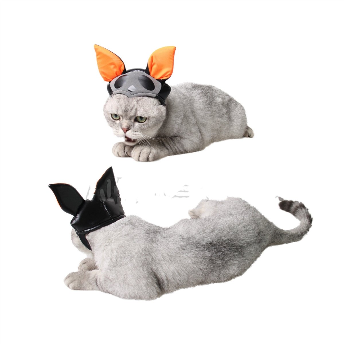 Pet Halloween Supplies Ghost Festival Ornaments Dog Personality Hat Cat Bat Wings - 0 - Scribble Snacks