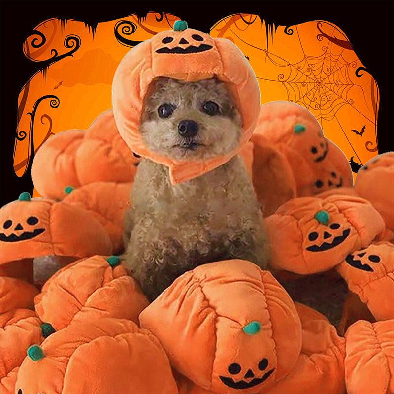 Pet Hat Halloween Funny Pumpkin Hat Cute Pet Animal Costume - 0 - Scribble Snacks