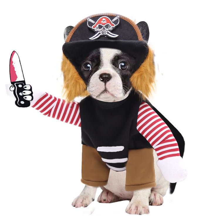 Pirates Turned Into Weird Pet Dogs Cats Halloween Day Costumes - 0 - Scribble Snacks