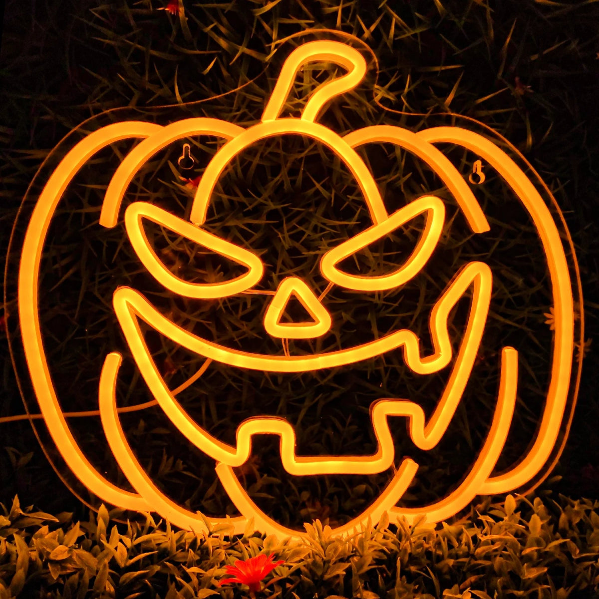 Pumpkin Neon Lantern Wall Light - Halloween - LED Lighting & Neon Signs - Scribble Snacks