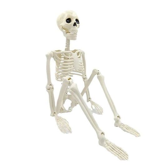 Pumpkin Posable Skeleton Decor - Halloween - Skeletons & Bones Props - Scribble Snacks