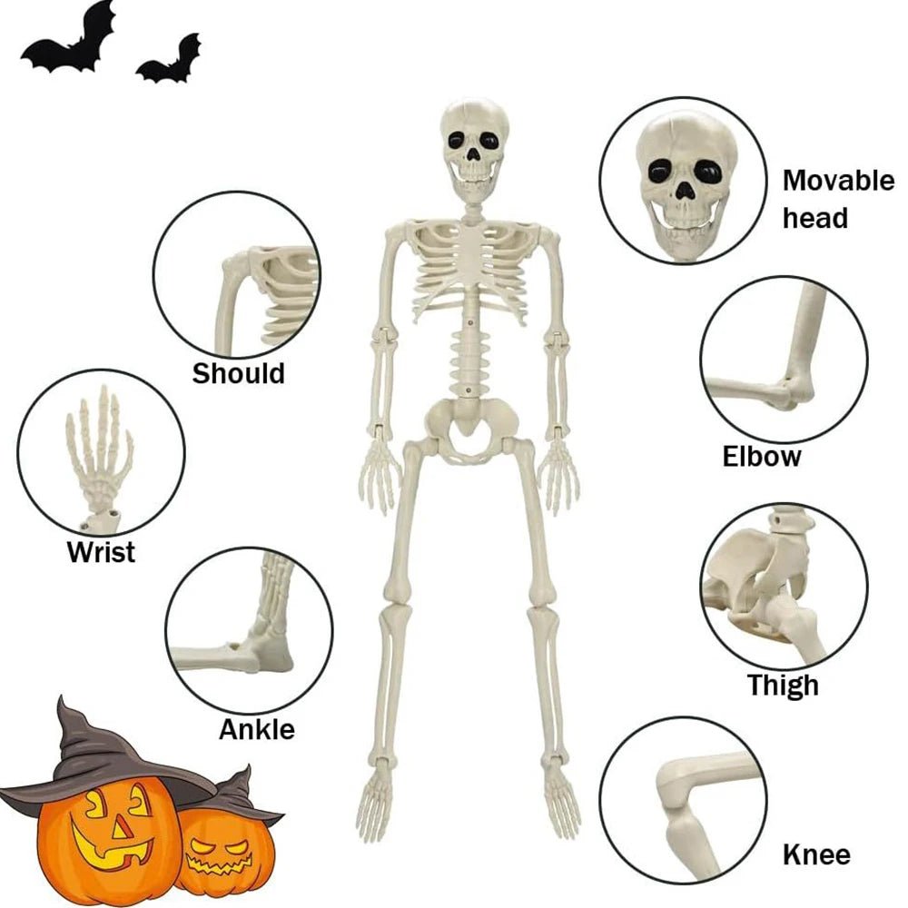 Pumpkin Posable Skeleton Decor - Halloween - Skeletons & Bones Props - Scribble Snacks