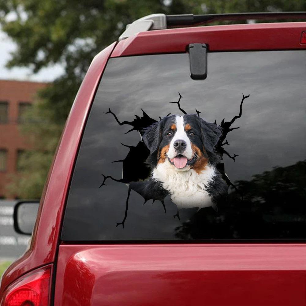 Reflective Car Body Stickers Window Sticker - 0 - Scribble Snacks