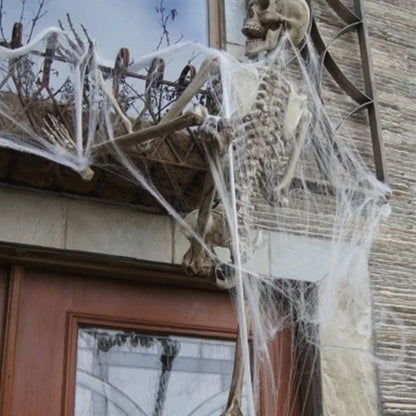 Spooky Cotton Spider Web Decor - Halloween - Spider Webs & Gauze Decorations - Scribble Snacks