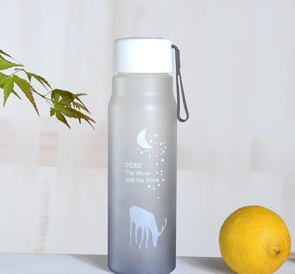 Eco-Friendly Portable Water Bottle - Water Bottles - Scribble Snacks