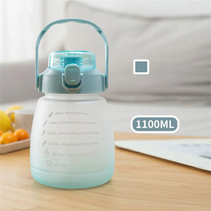 Gradient Belly Cup Water Bottle - Water Bottles - Scribble Snacks